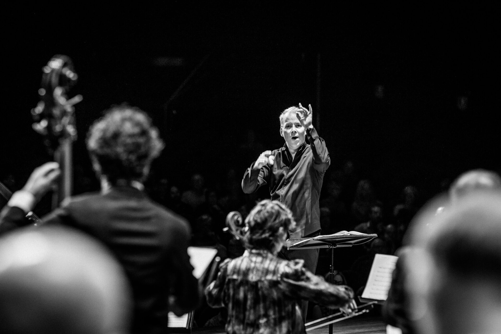 Johannes Passion - J.S. Bach